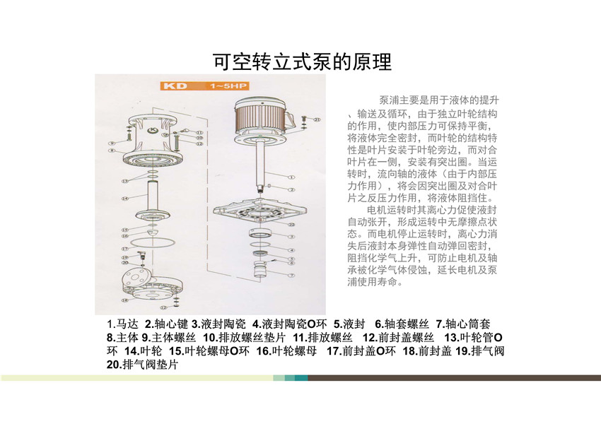 KD可(kě)空轉立式泵全(quán)面解析(xī)_01.jpg